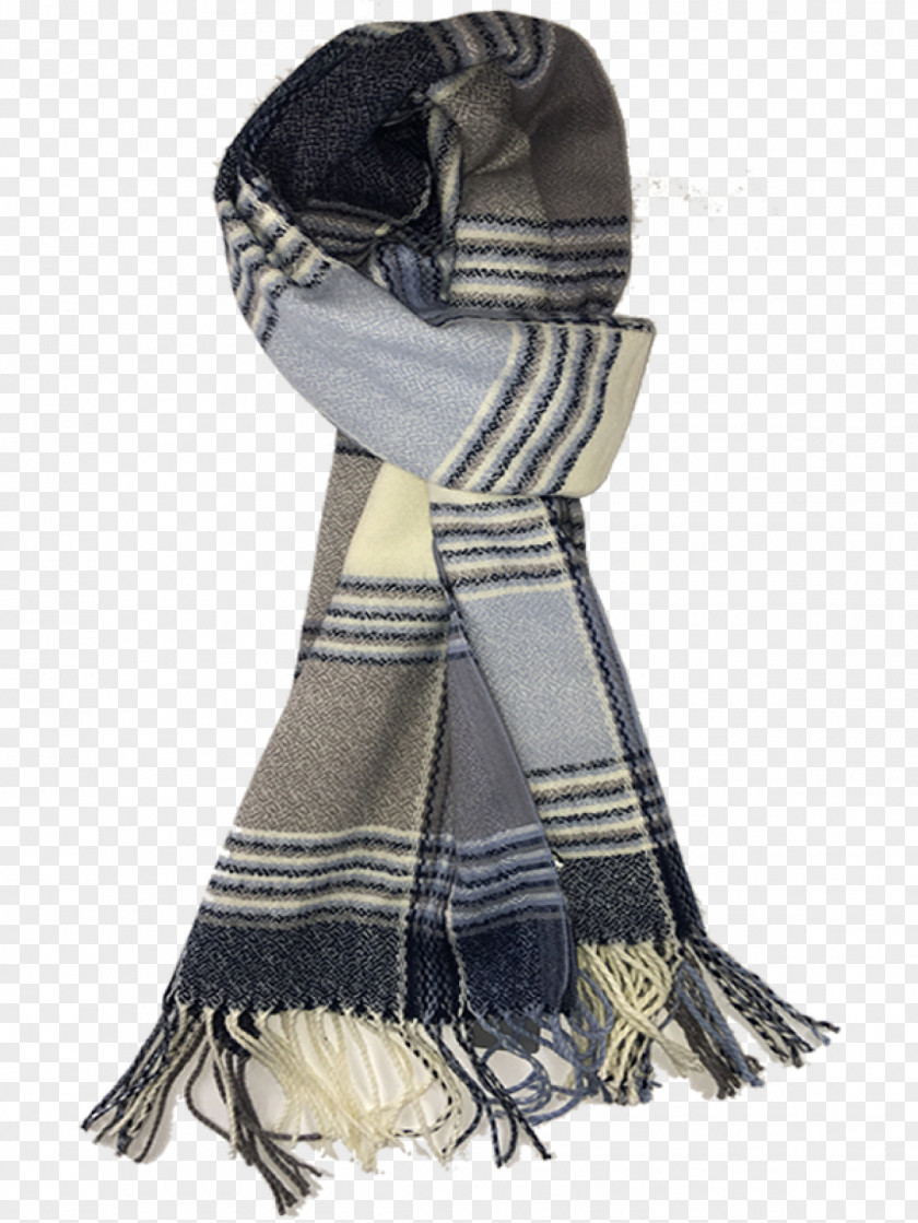 Vanessa Bruno Scarf PNG