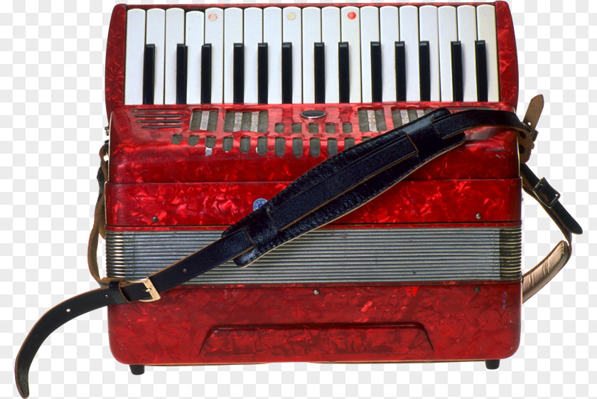 Dy Diatonic Button Accordion Free Reed Aerophone Musical Instruments Concertina PNG
