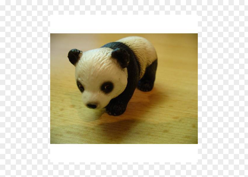 Baby Panda Giant Bear Carnivora Stuffed Animals & Cuddly Toys PNG