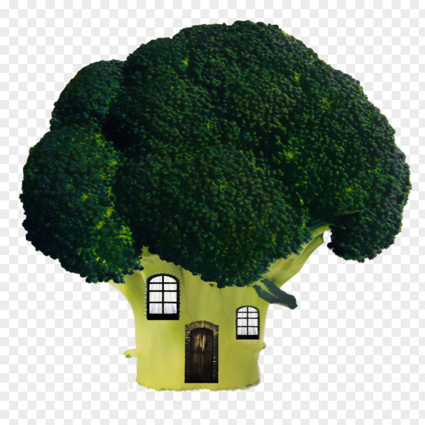 Broccoli House Window Vegetable Cauliflower PNG