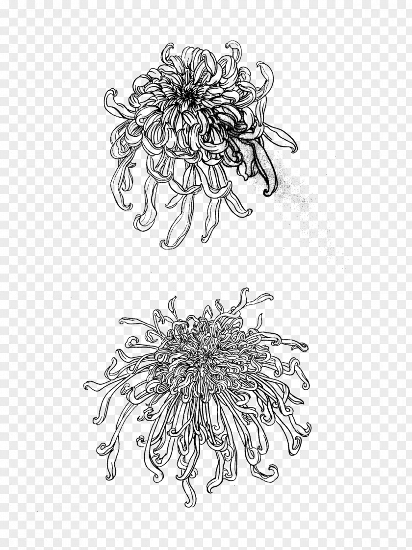 Chrysanthemum U83cau82b1u56feu8c31 Gongbi Four Gentlemen U65b0u6d6au535au5ba2 PNG