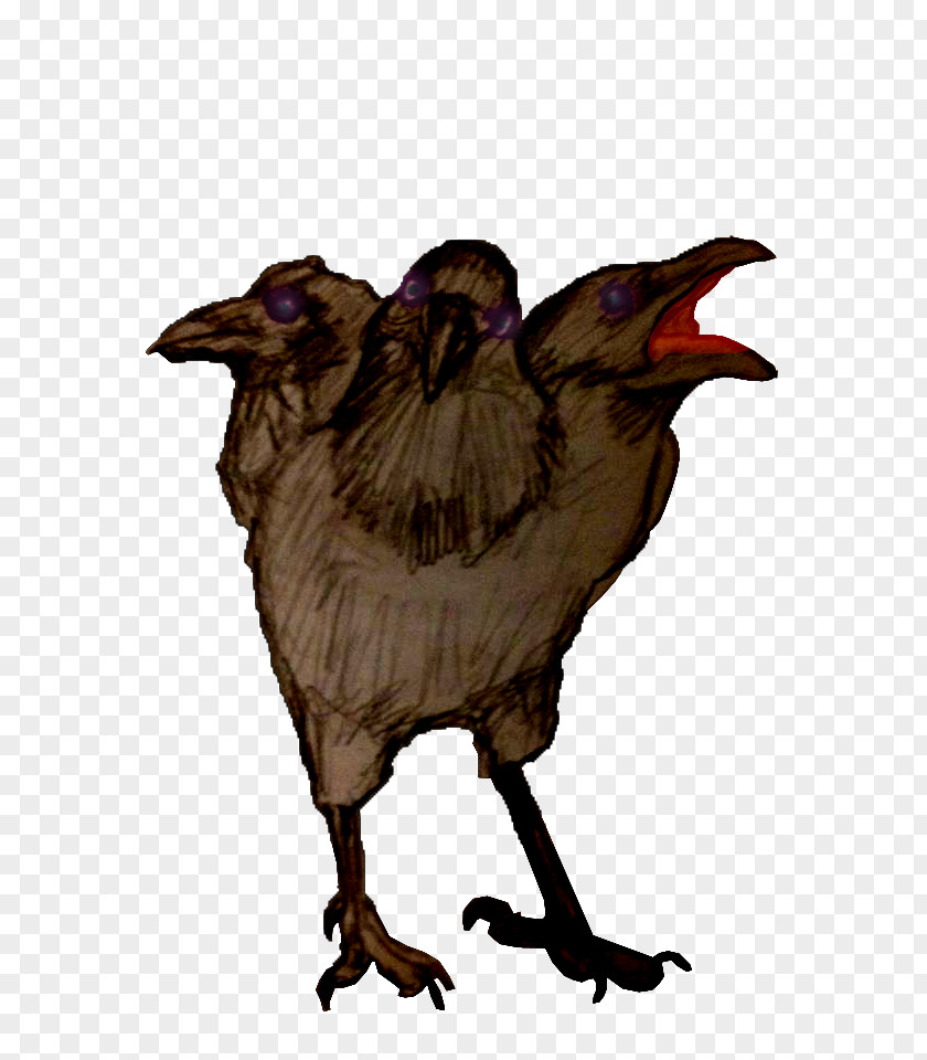 Crow Beak Chicken As Food PNG