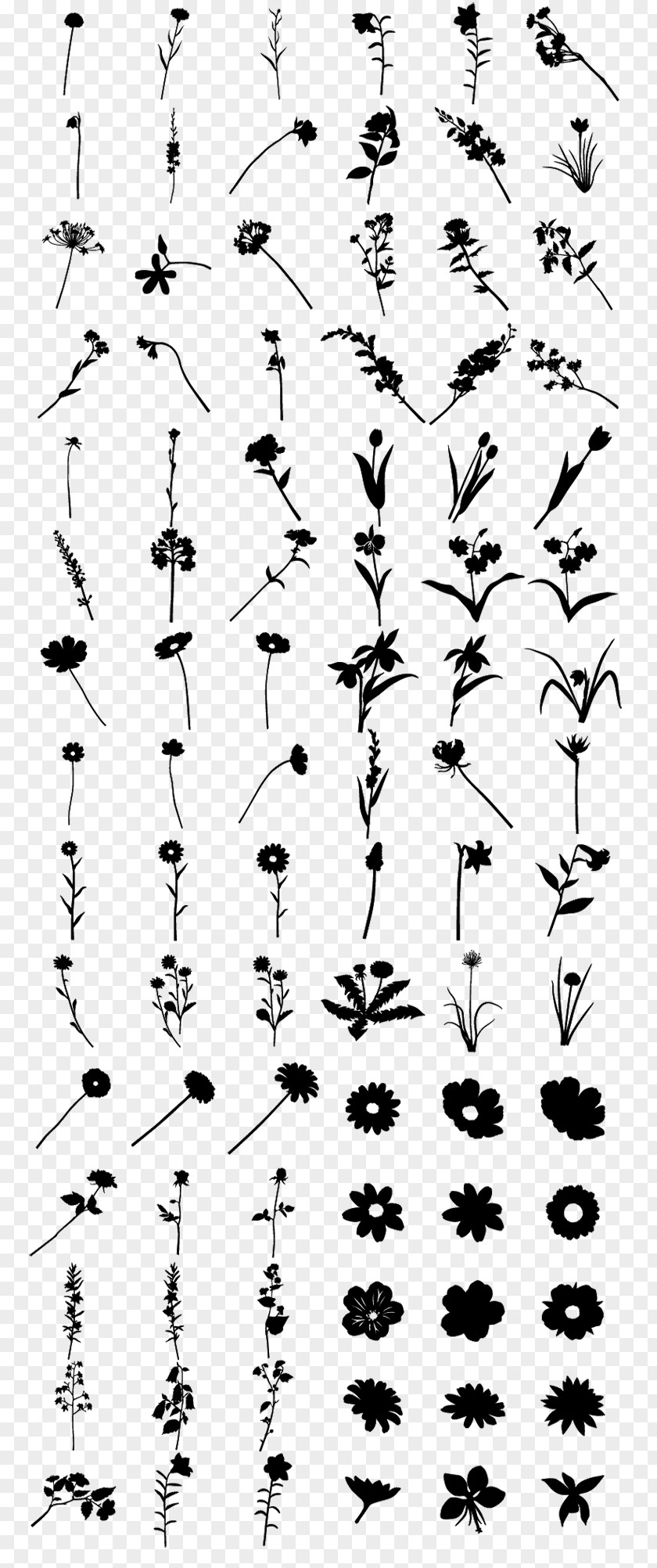 Gifts Flowers Template Download Didot Silhouette Computer Font PNG