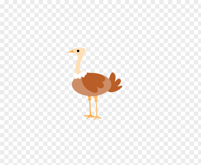 Ostrich Common Bird Goose PNG