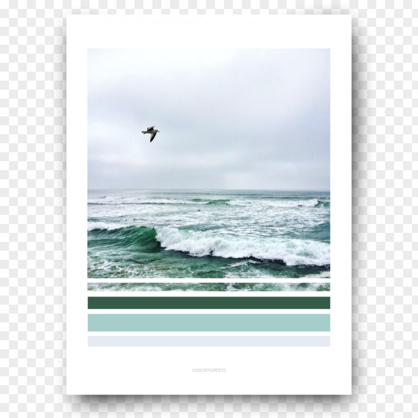 Sea Green Color Shore Poster Picture Frames White House PNG