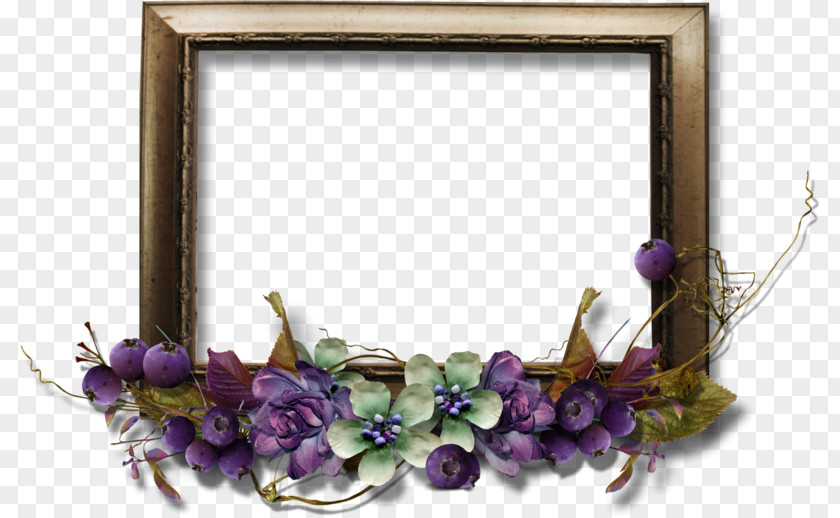 Blueberry Picture Frames Download PNG