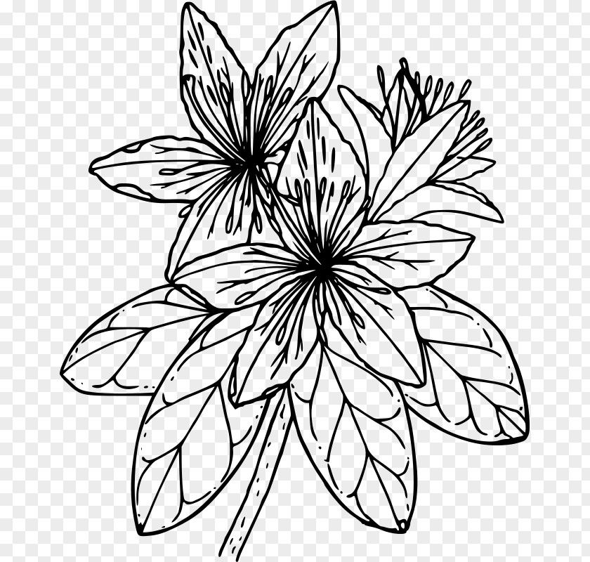 Red Flower Azalea Drawing Coloring Book Clip Art PNG