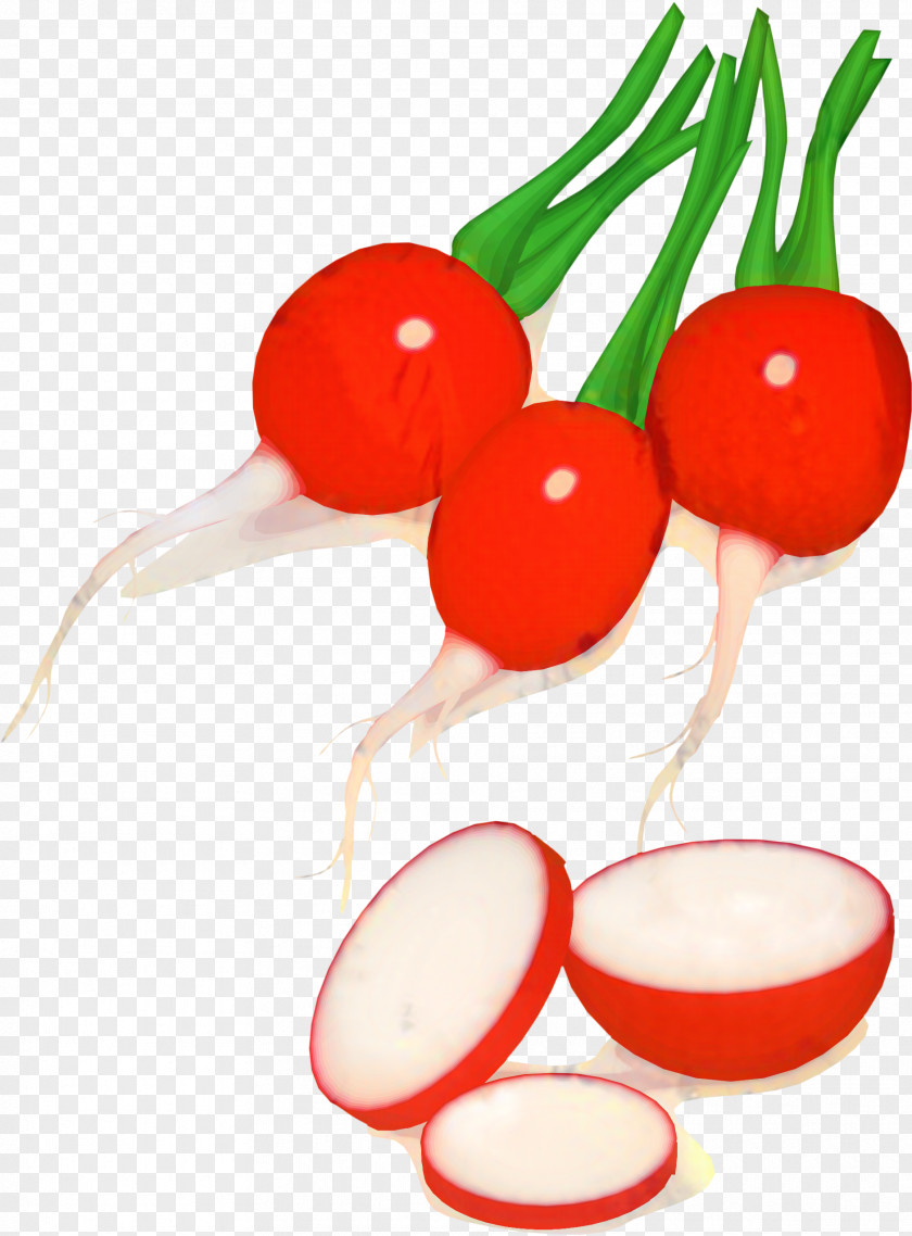 Superfood Plant Vegetable Cartoon PNG