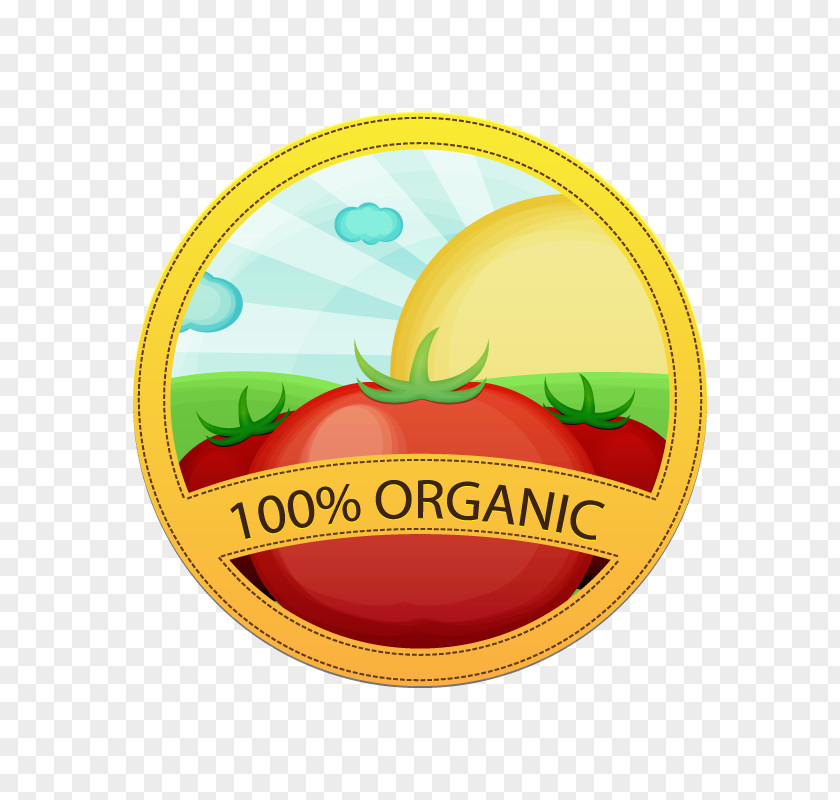 Vector Tomato Organic Food Euclidean Icon PNG