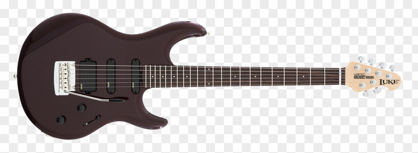 Acoustic Guitar Fender Stratocaster ESP M-II Ibanez RG Guitars PNG