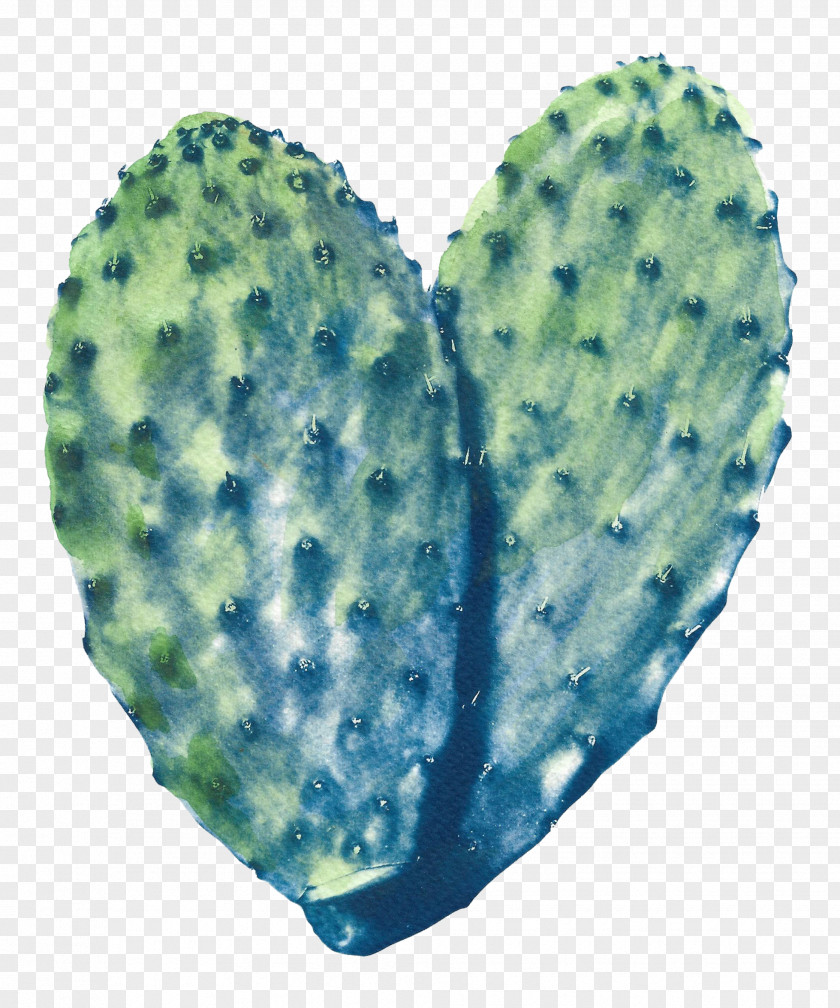 Cactus Barbary Fig Paper Cyanotype Painting PNG