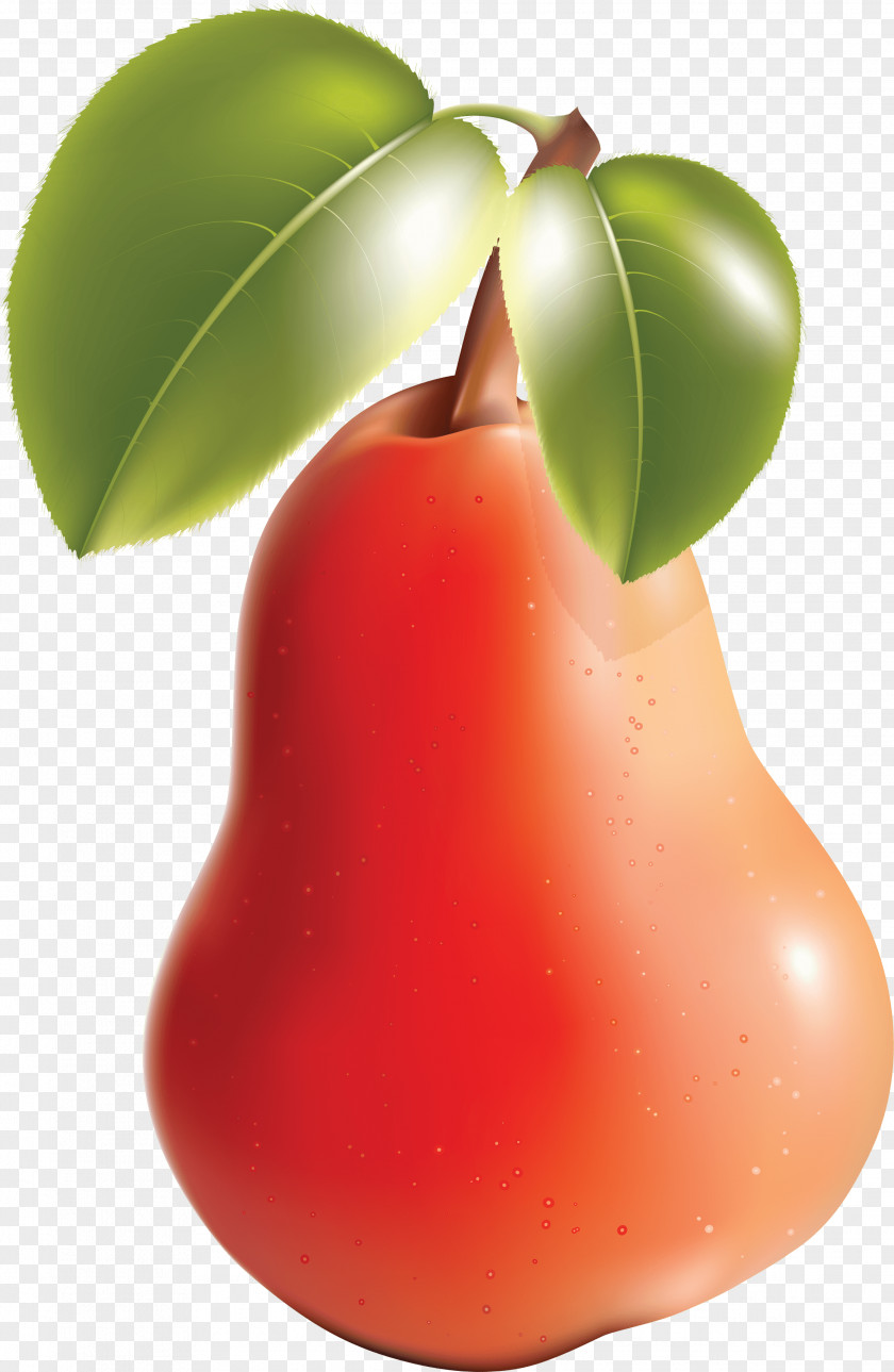 Pear Image Fruit Vegetable Green Bean Clip Art PNG