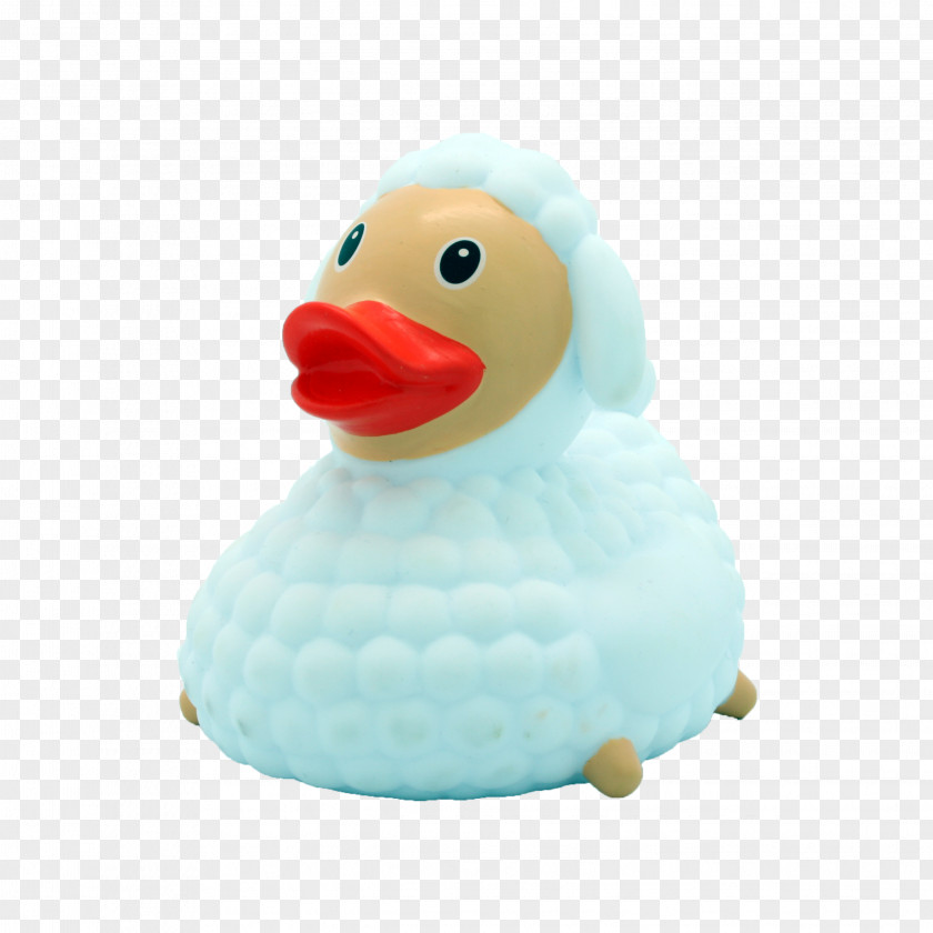 Duck Rubber Toy Anatidae Natural PNG