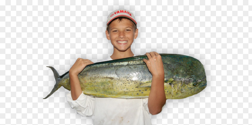 Fishing Tournament Fish PNG