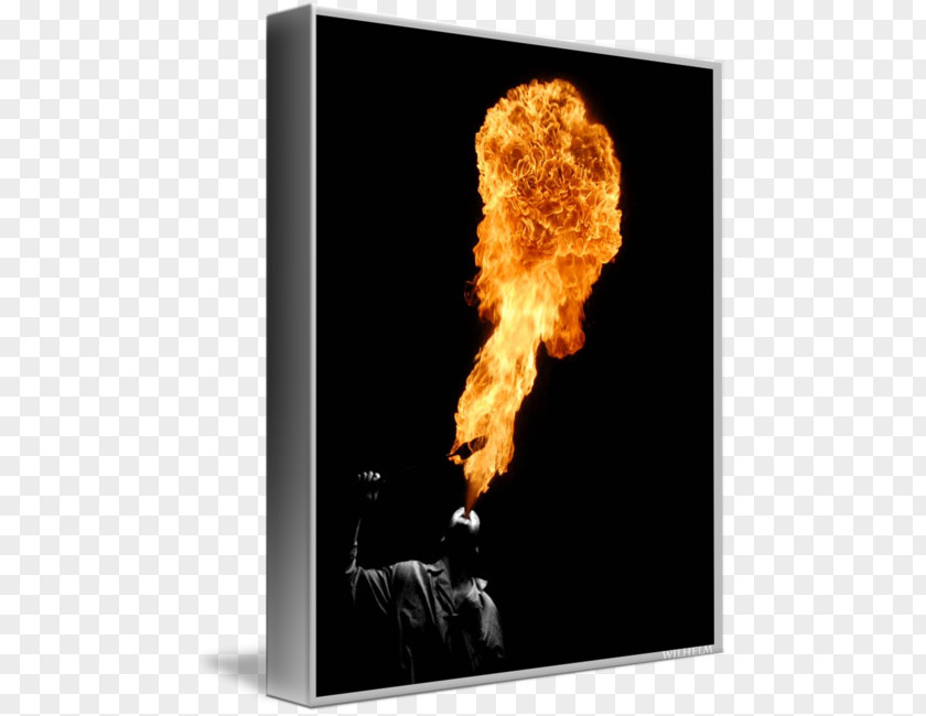 Gallery Wrap Canvas Art Poster Photograph PNG