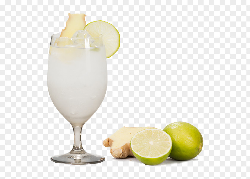 Gin And Tonic Lemon Juice Limeade Cocktail Lemonade PNG