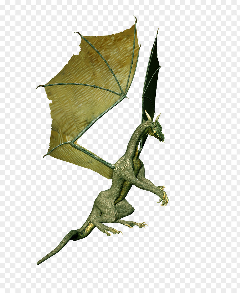 Green Dragon Images, Free Drago Picture PNG