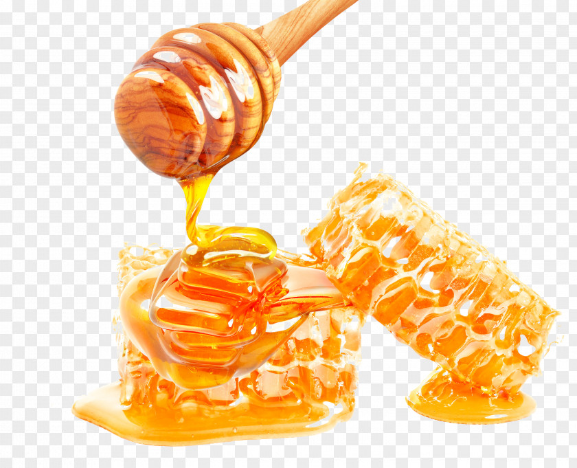 Tasty Treats Honeycomb Honey Bee PNG