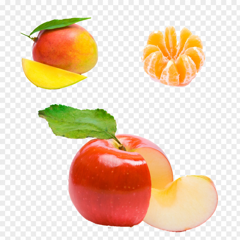 Apple Physical Map Fruit PNG