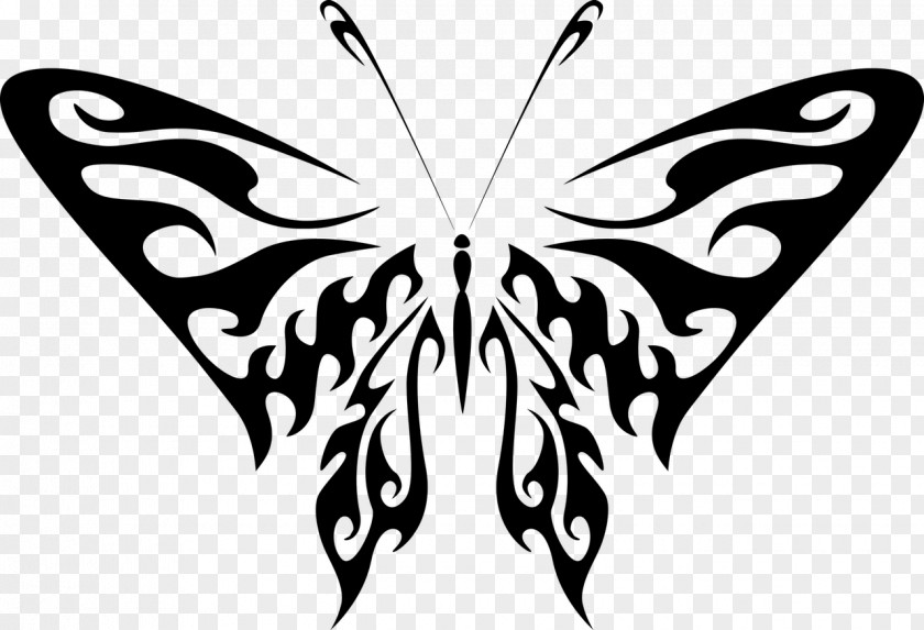 Butterfly Monarch Line Art Clip PNG