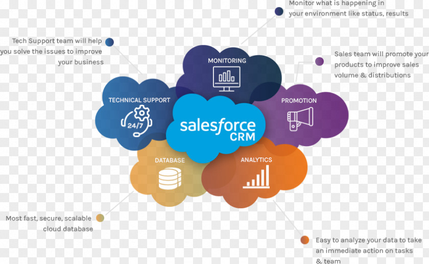 Cloud Computing Salesforce.com Customer Relationship Management Oracle CRM Salesforce Online Training PNG
