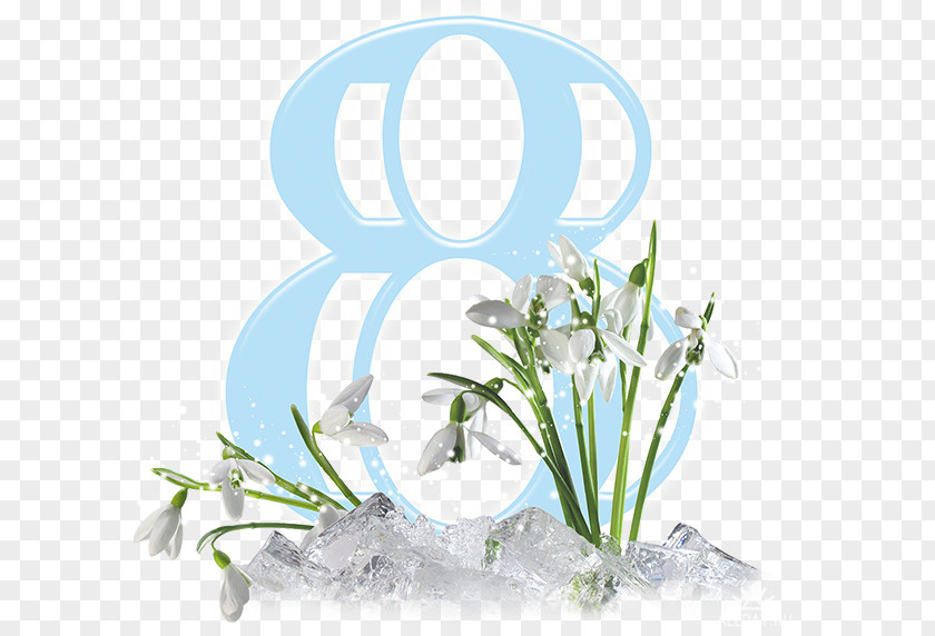 March 8 Image Clip Art Text PNG