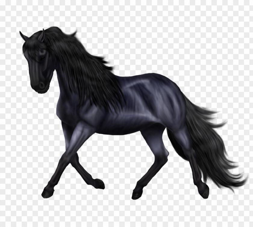 Mustang Friesian Horse Sporthorse Mane Stallion PNG
