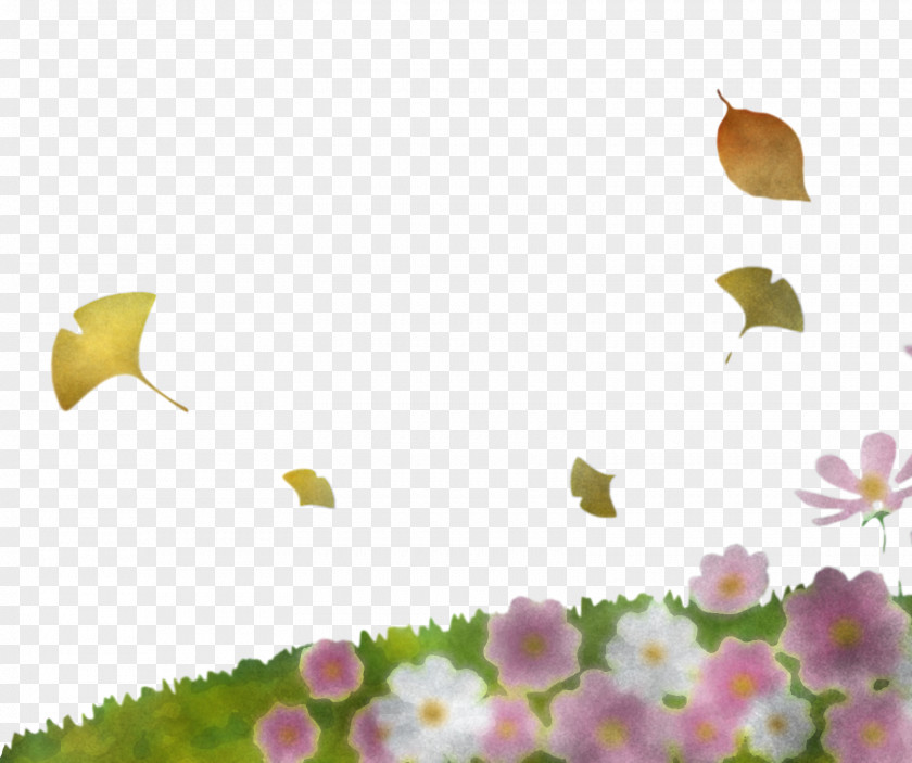 Plant Stem Leaf Yellow Meadow Computer PNG