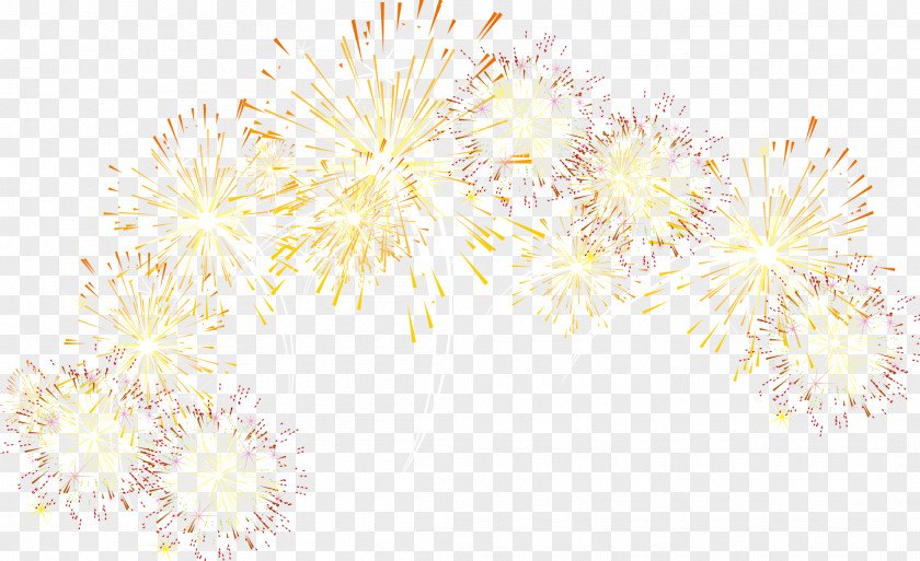 Beautiful Fireworks Floral Design Yellow Pattern PNG