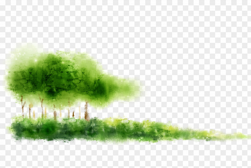 Dream Woods Grass Computer File PNG