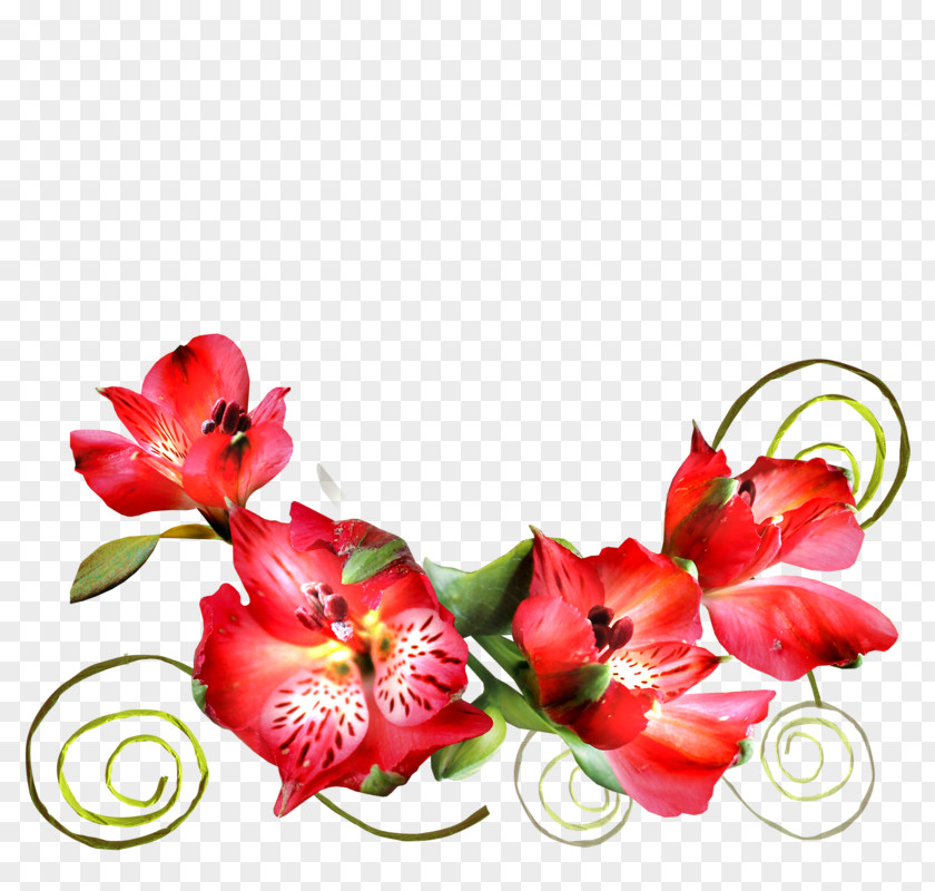 Flower Floral Design Cut Flowers Blog Clip Art PNG