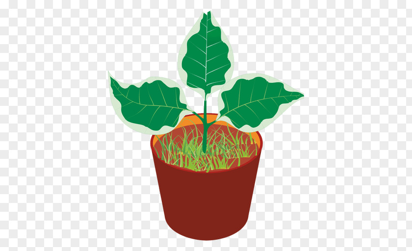 Flower Flowerpot PNG