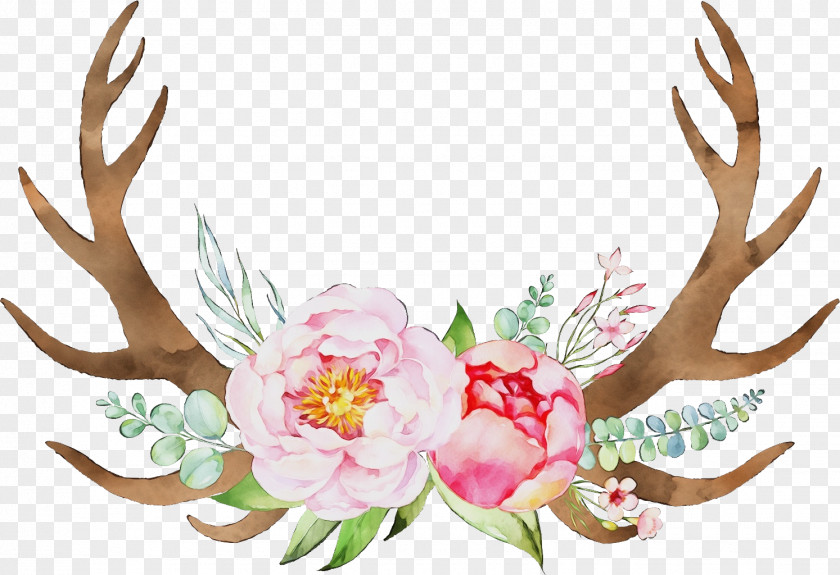 Flower Plant Antler Clip Art PNG