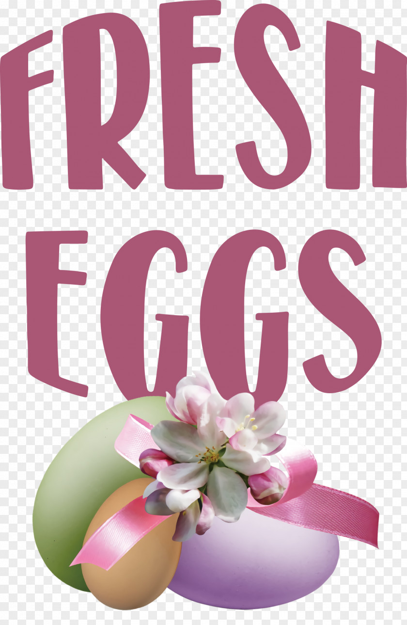 Fresh Eggs PNG