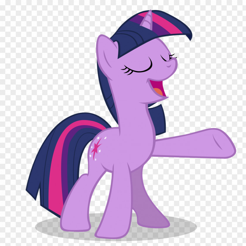 My Little Pony Twilight Sparkle Sunset Shimmer Rainbow Dash Applejack PNG