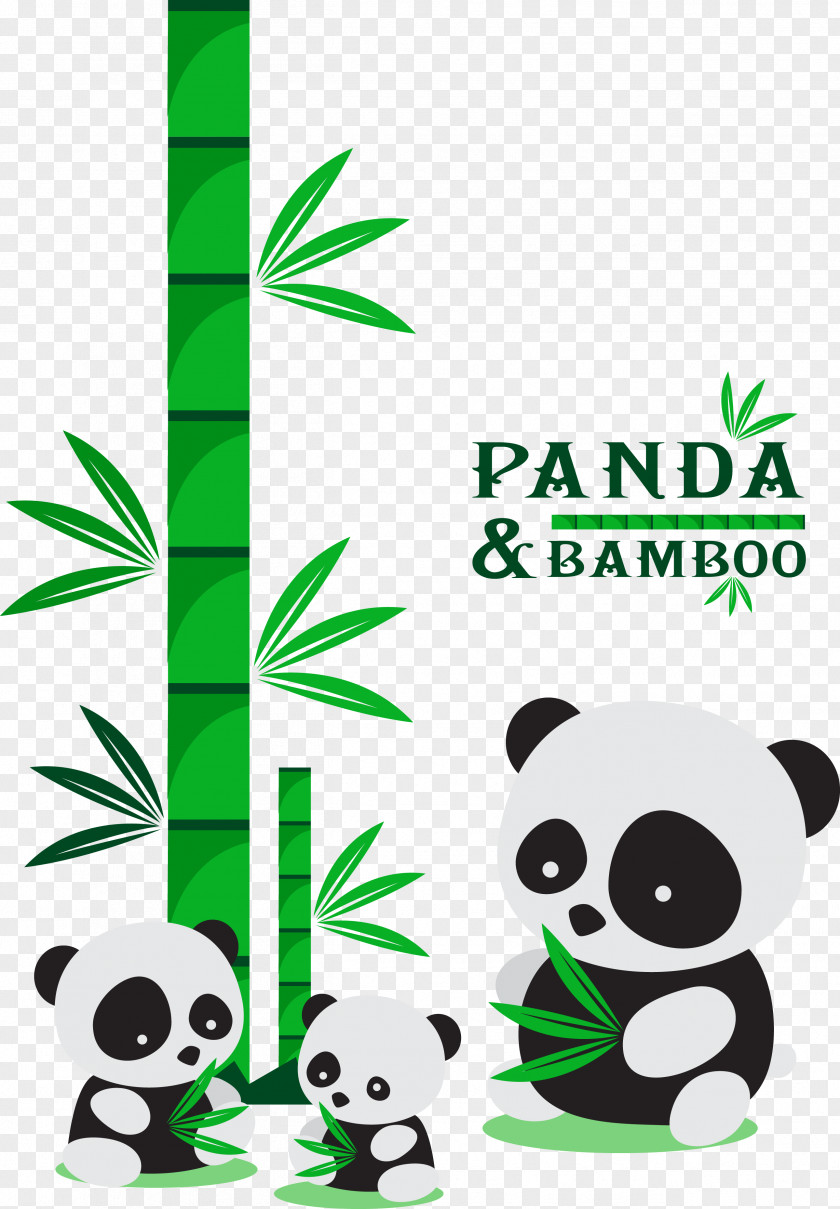 Panda Bamboo Giant Green Illustration PNG
