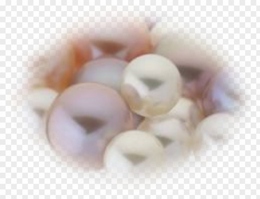 Perle Pearl Gift PNG