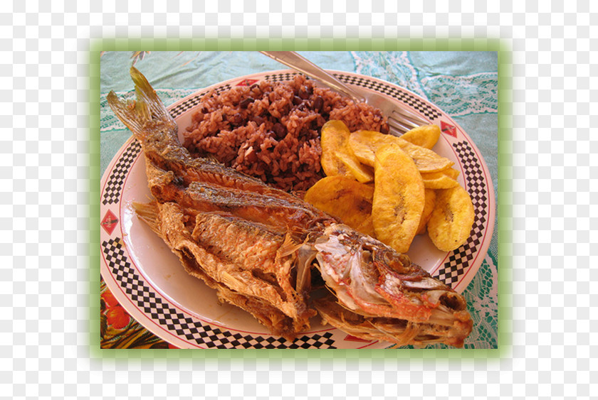 Fish Honduran Cuisine Food Recipe Dish PNG