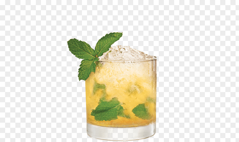 Mint Whiskey Julep Cocktail Mojito Mai Tai PNG