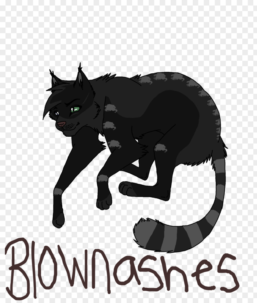 Read Below Whiskers Cat Demon Illustration Felicia Hardy PNG