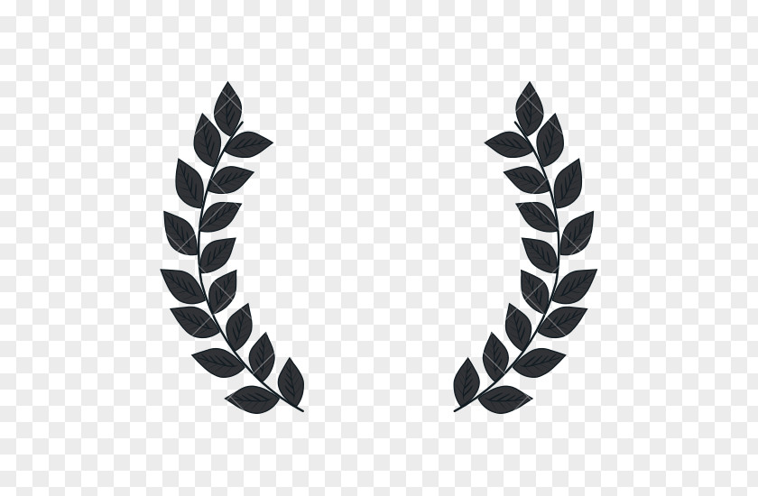 Symbol Bay Laurel Wreath Clip Art PNG