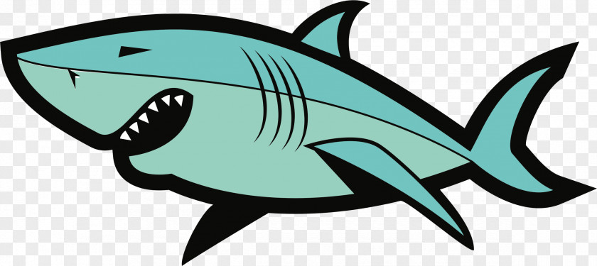 Vector Shark Great White Fish PNG