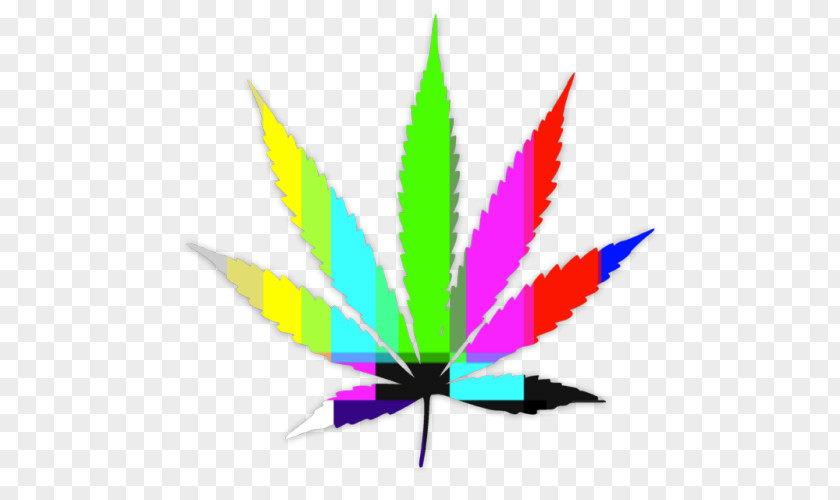 Cannabis Medical Dispensary Sativa PNG