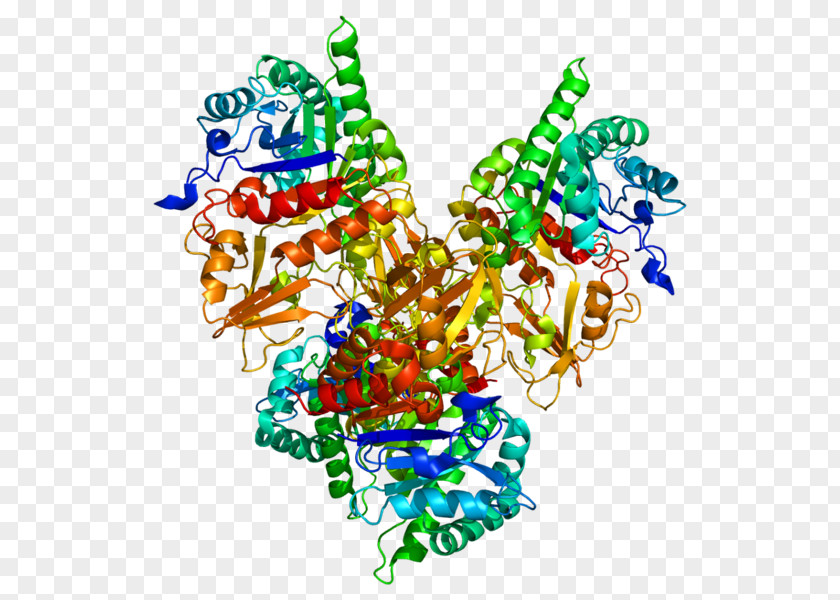 CHI3L1 Chitinase Protein Secretion Gene PNG