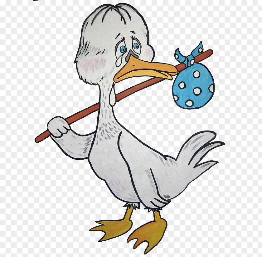 Duck Seabird Cartoon Clip Art PNG