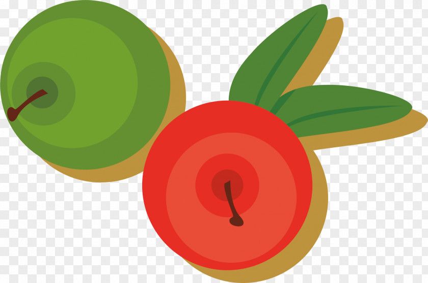 Red Green Apple Vector Clip Art PNG
