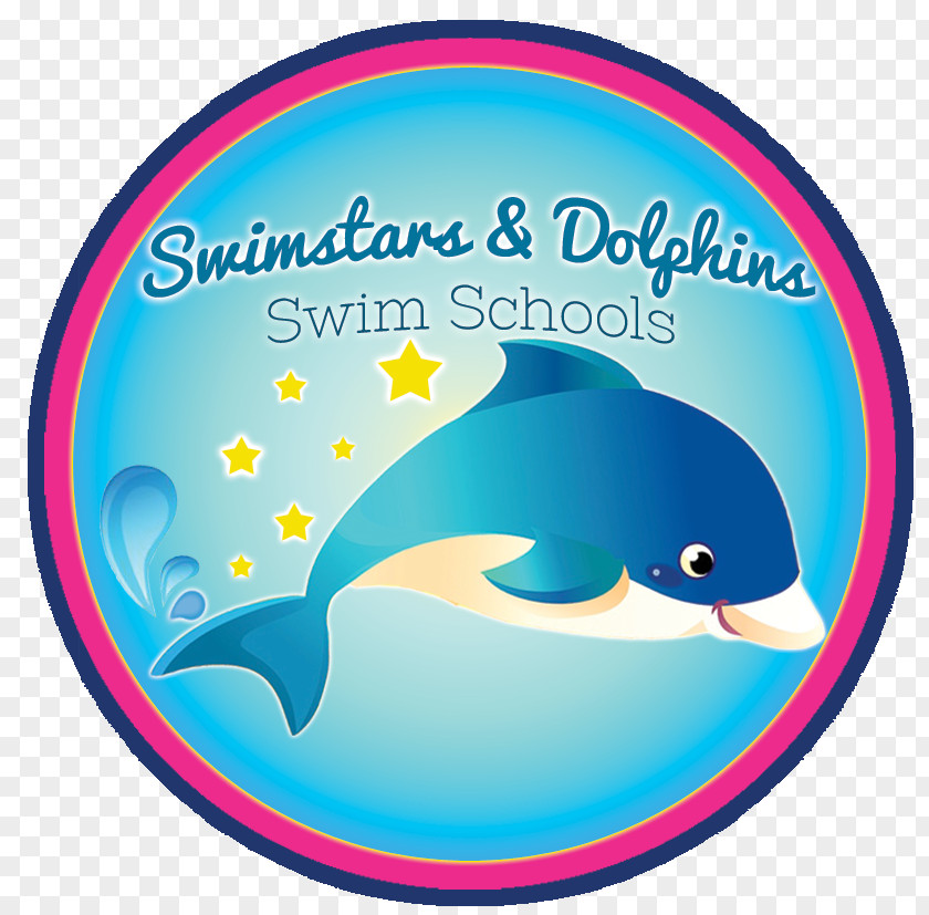 Swimming Lessons Swimstars & Dolphins @ Hall Cross Academy Child PNG
