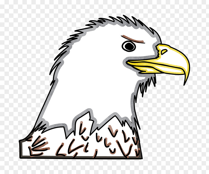 Bald Eagles Head Eagle Adobe Flash Player Captivate Library PNG