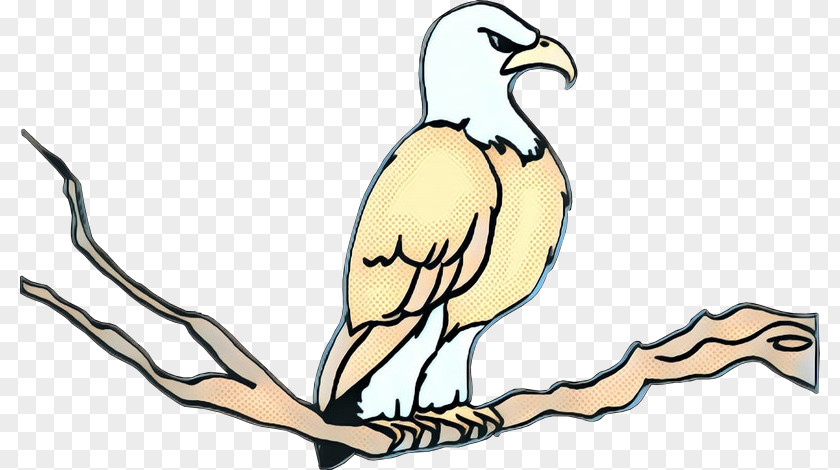 Egyptian Vulture Wildlife Bird Line Art PNG