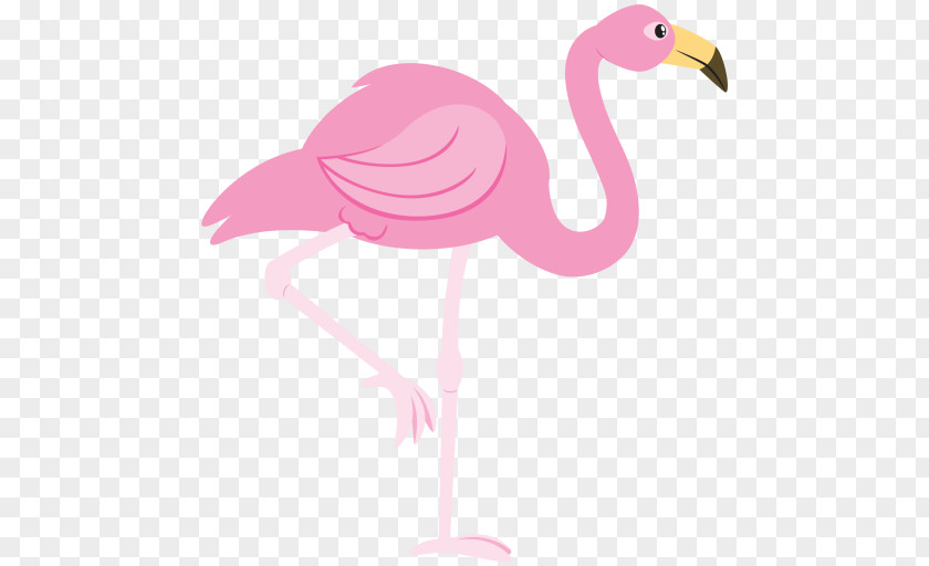 Flamingos Flamingo Free Clip Art PNG